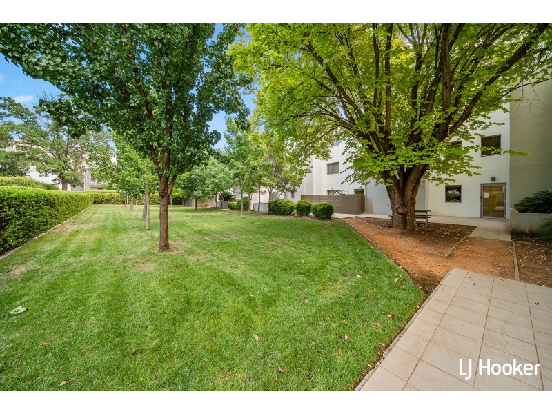 6/3 Towns Crescent, Turner ACT 2612