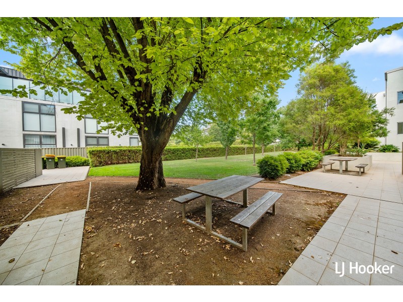 6/3 Towns Crescent, Turner ACT 2612