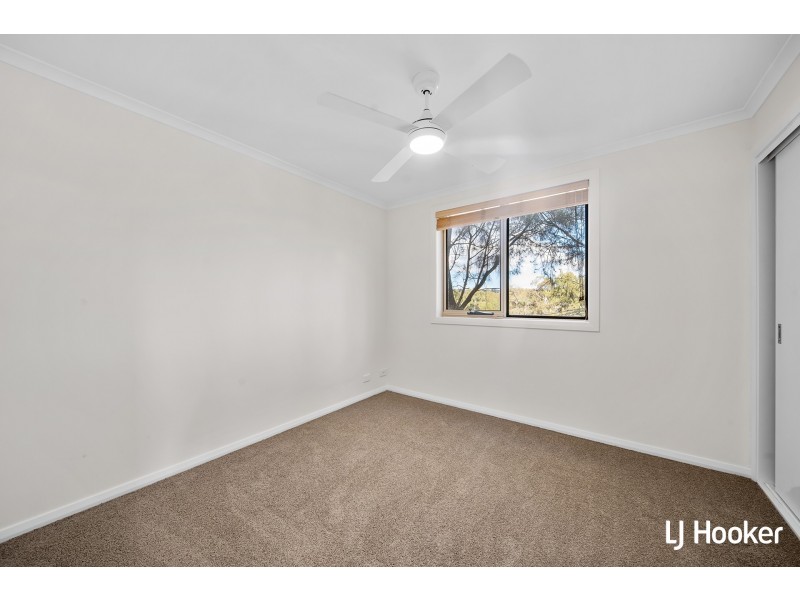 11/17 Bowman Street, Macquarie ACT 2614