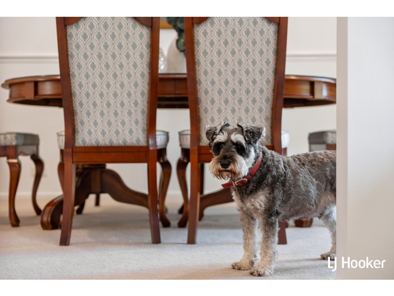 14 Nott Street, Fraser ACT 2615