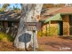 25 Osburn Drive, Macgregor ACT 2615