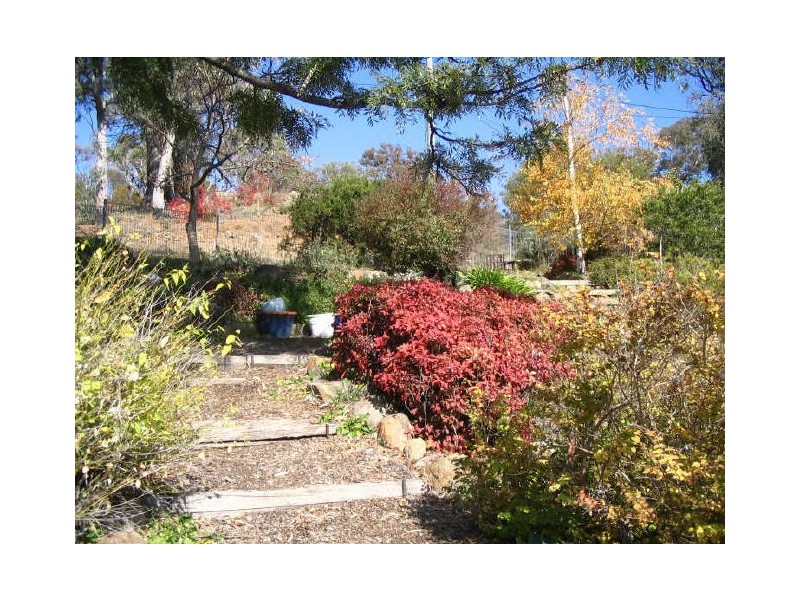 64 Skinner Street, Cook ACT 2614