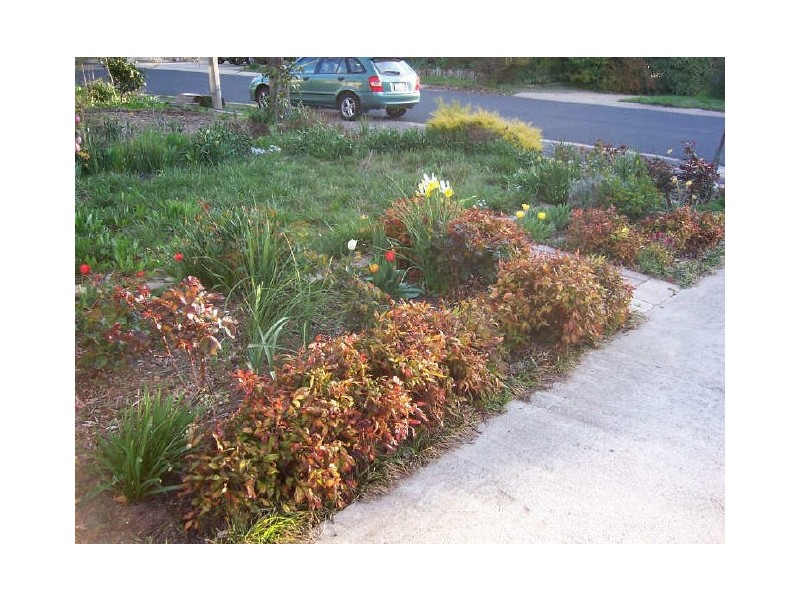 63 Ligertwood Street, Evatt ACT 2617