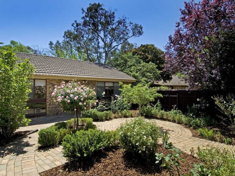 10/21 Jinka Street, Hawker ACT 2614