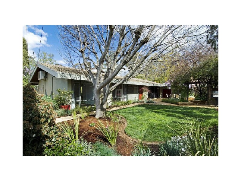 20 Oakes Street, Cook ACT 2614