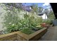 20 Oakes Street, Cook ACT 2614