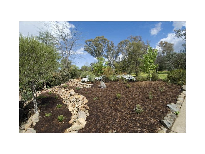 20 Oakes Street, Cook ACT 2614