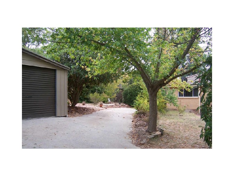 99 Florey Drive, Macgregor ACT 2615