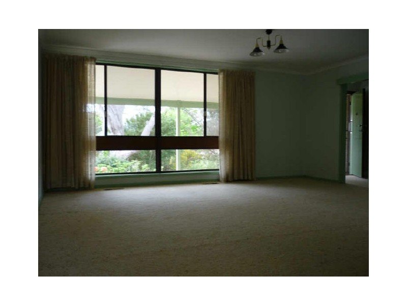 11 Pickles Street, Scullin ACT 2614