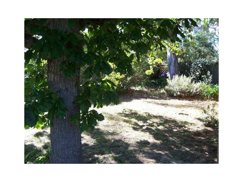 10 Earle Place, Page ACT 2614