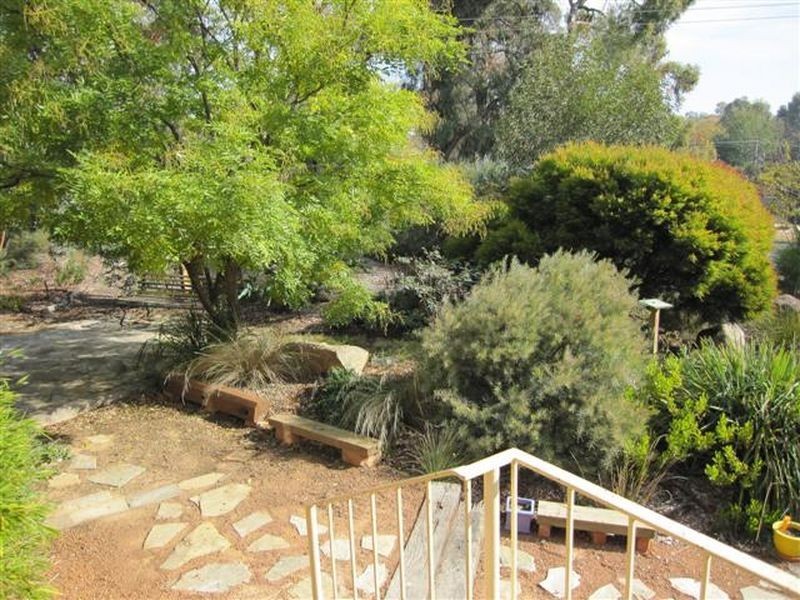 64 Chewings Street, Page ACT 2614