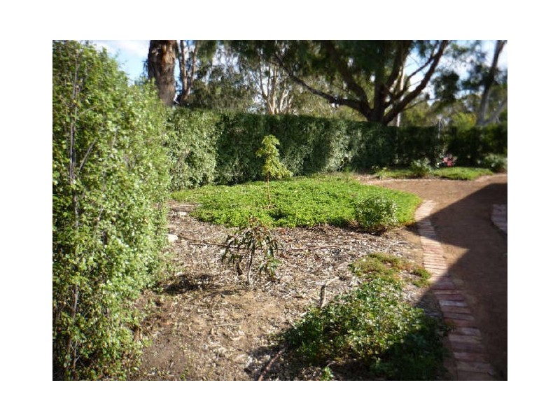 16 Gollan Street, Evatt ACT 2617