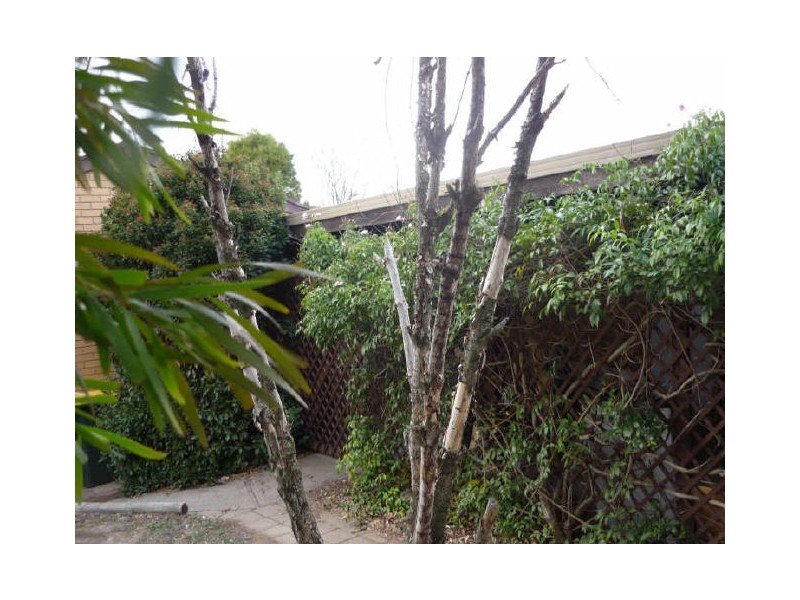 48 Boswell Cres, Florey ACT 2615