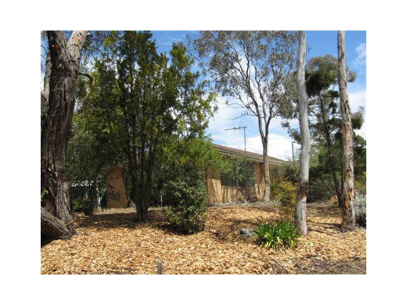 41 Belconnen Way, Weetangera ACT 2614