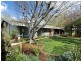 20 Oakes Street, Cook ACT 2614