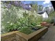 20 Oakes Street, Cook ACT 2614