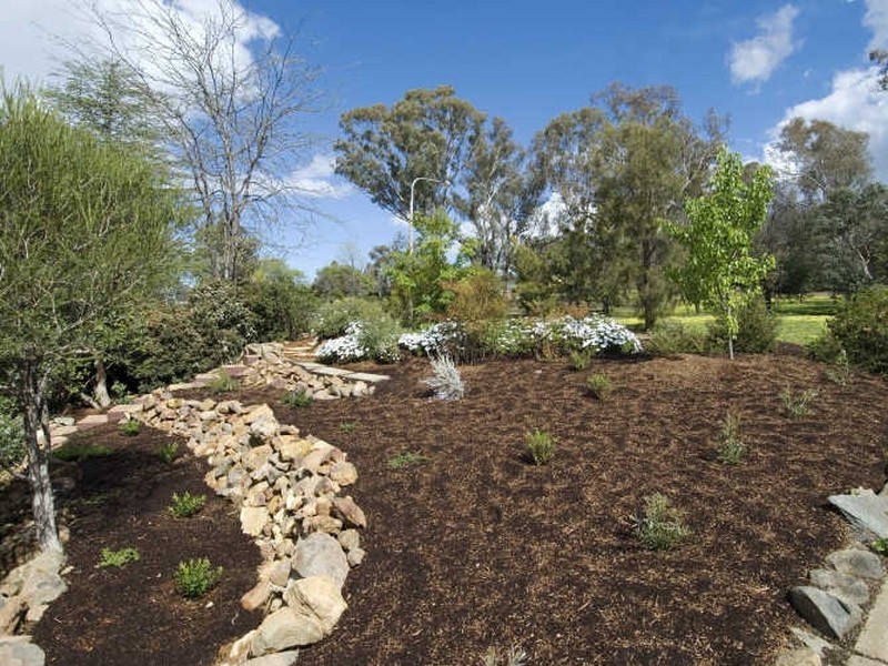 20 Oakes Street, Cook ACT 2614