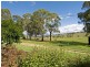 14 Moss Street, Cook ACT 2614