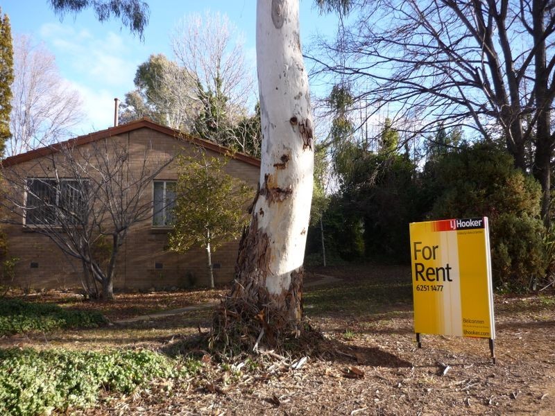 20 Brooks Street, Macquarie ACT 2614