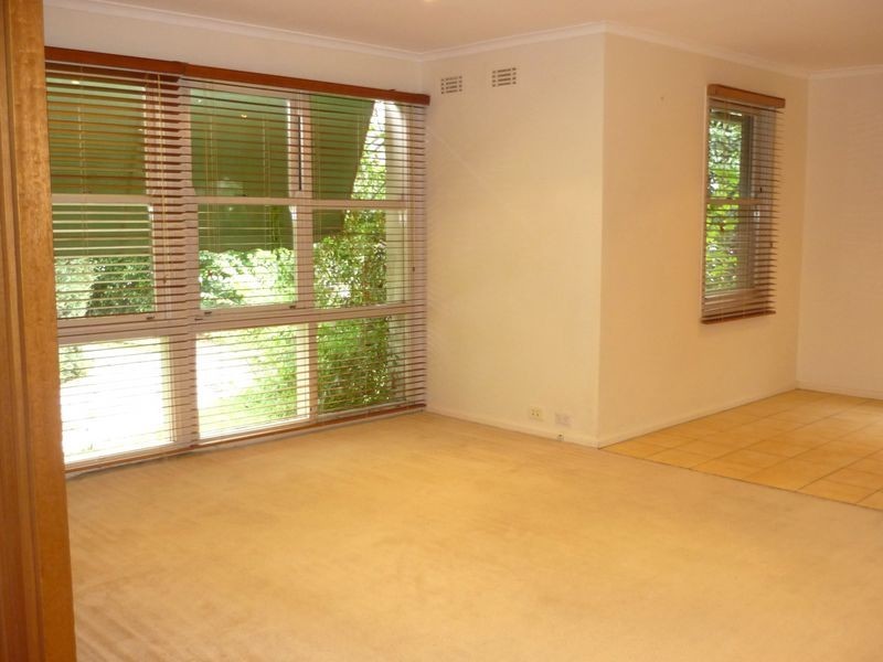 31 Wisdom Street, Hughes ACT 2605