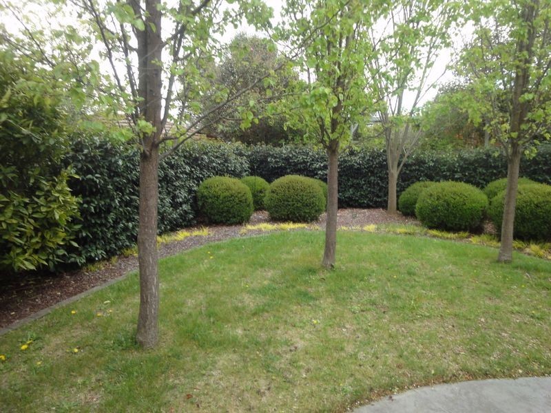 16 Savige Place, Campbell ACT 2612