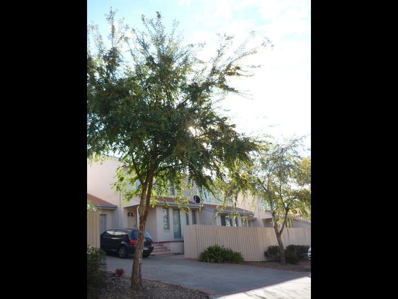 4/8 Fidler Court, Bruce ACT 2617