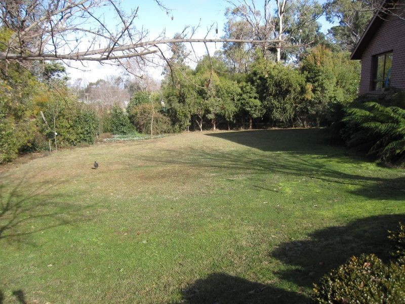 14 Palmer Street, Hall ACT 2618