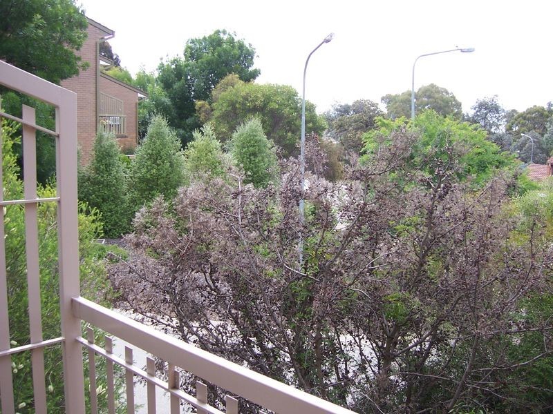 20/1 Buik Place, Belconnen ACT 2617