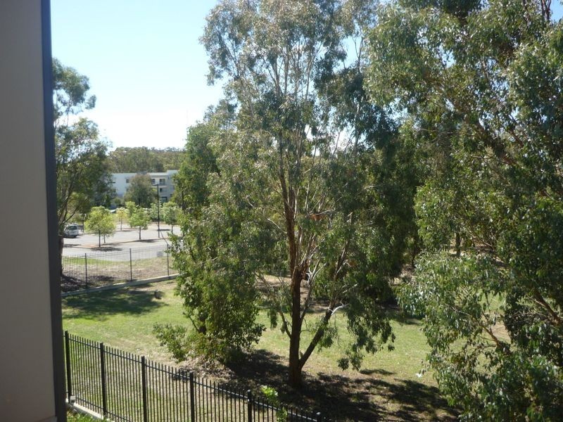 141/1 Braybrooke Street, Bruce ACT 2617