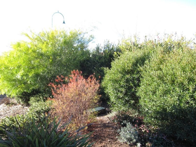 27 Dagmar Berne Street, Macgregor ACT 2615