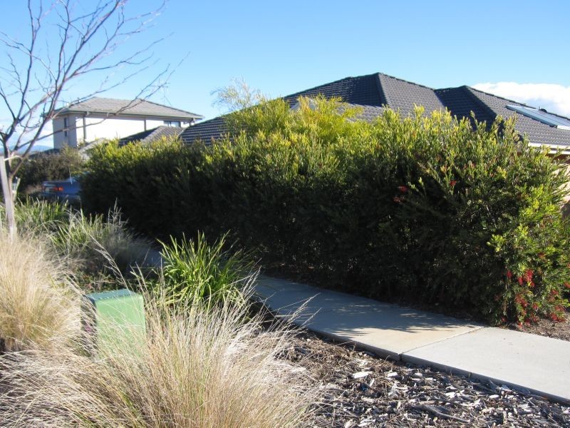 27 Dagmar Berne Street, Macgregor ACT 2615