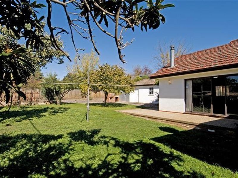 17 Austin Street, Griffith ACT 2603