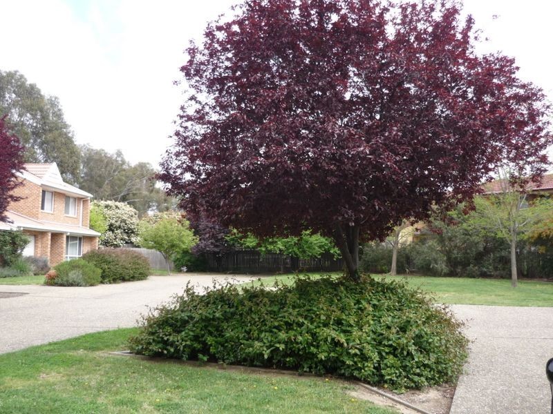 4/3 Tenison-Woods Circuit, Bonython ACT 2905