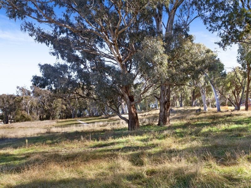 20/126 Thynne Street, Bruce ACT 2617