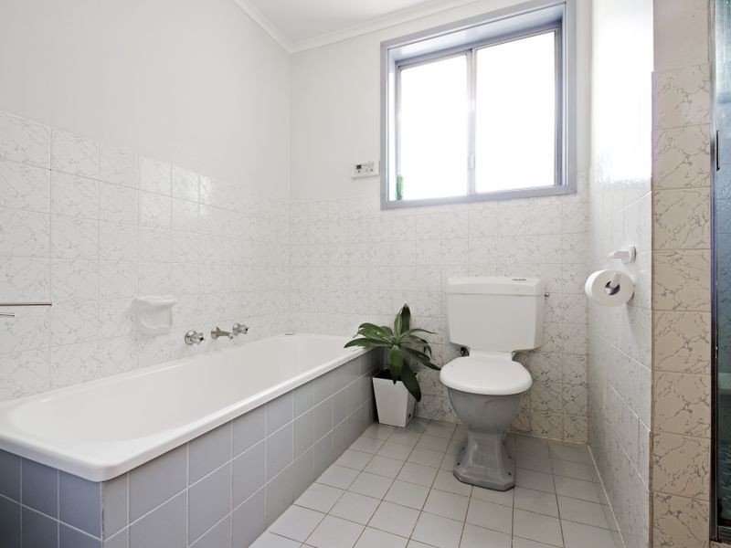 26 Mawson Drive, Mawson ACT 2607