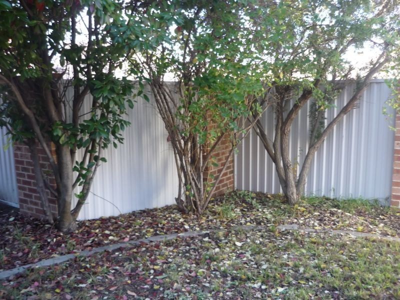 2/3 Tenison Woods Circuit, Bonython ACT 2905