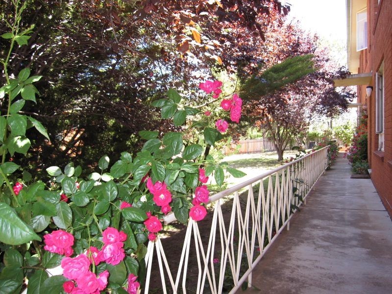 15/25 Mackennal Street, Lyneham ACT 2602