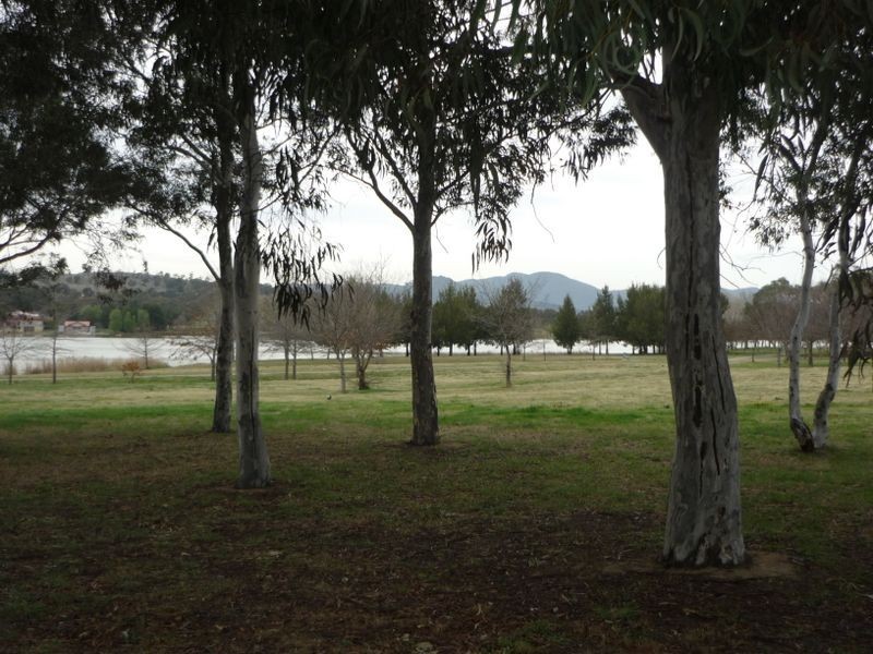 67 Florence Taylor Street, Greenway ACT 2900