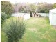 37 Folingsby Street, Weston ACT 2611