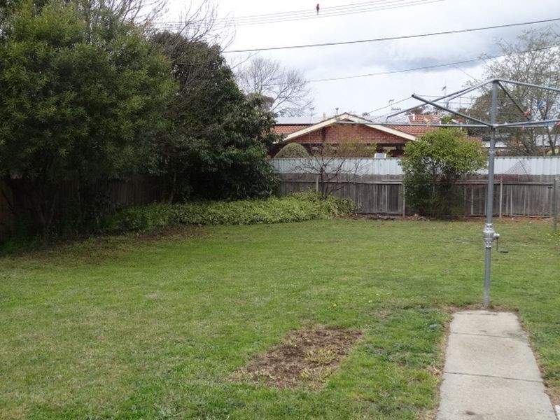 37 Alexandria Street, Hawker ACT 2614