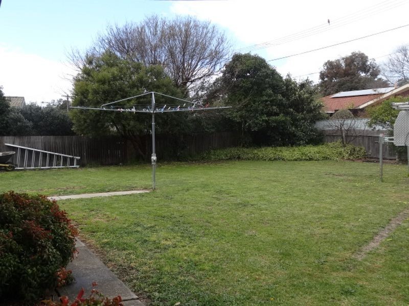 37 Alexandria Street, Hawker ACT 2614