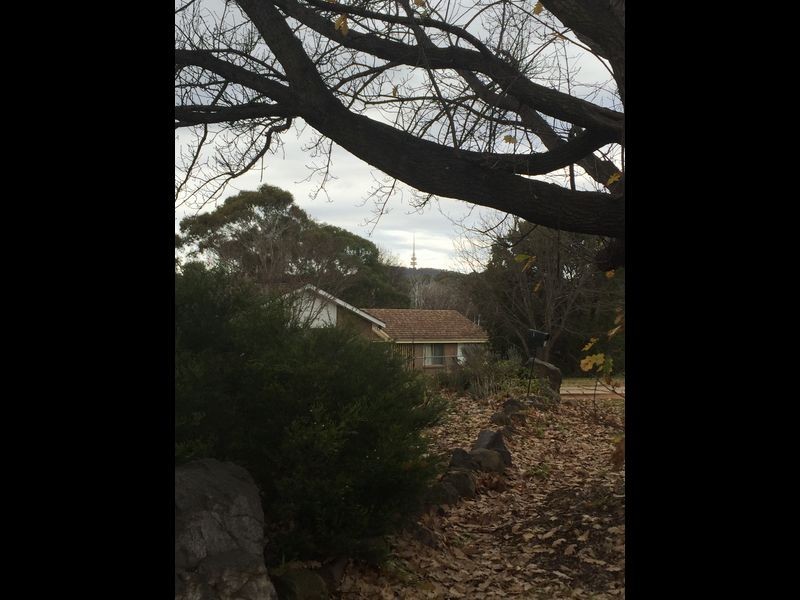 21A Blackman Crescent, Macquarie ACT 2614