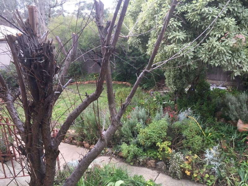 21A Blackman Crescent, Macquarie ACT 2614