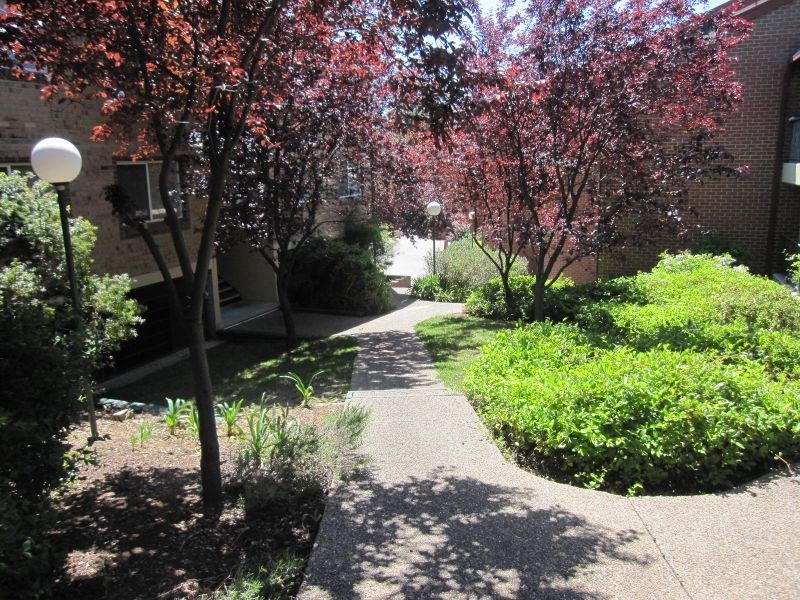 58/112 Baldwin Drive, Kaleen ACT 2617