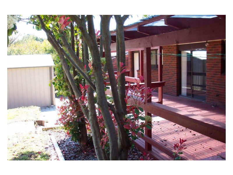 6 Lumholtz Place, Florey ACT 2615