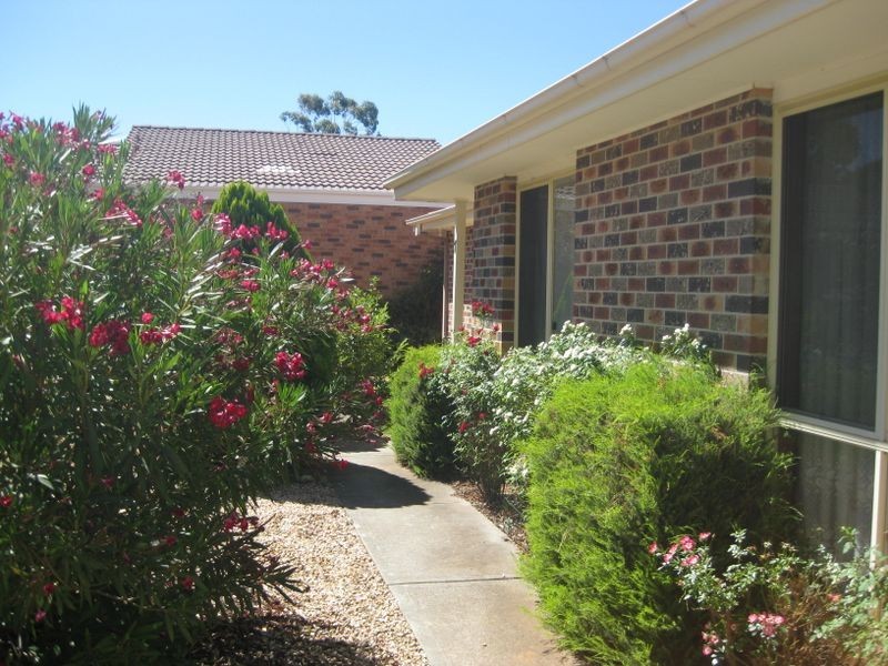 7 Cann Close, Palmerston ACT 2913