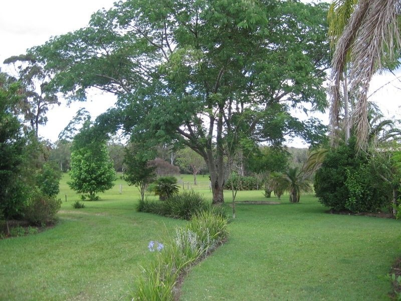 65 Whites Road, New Italy NSW 2472