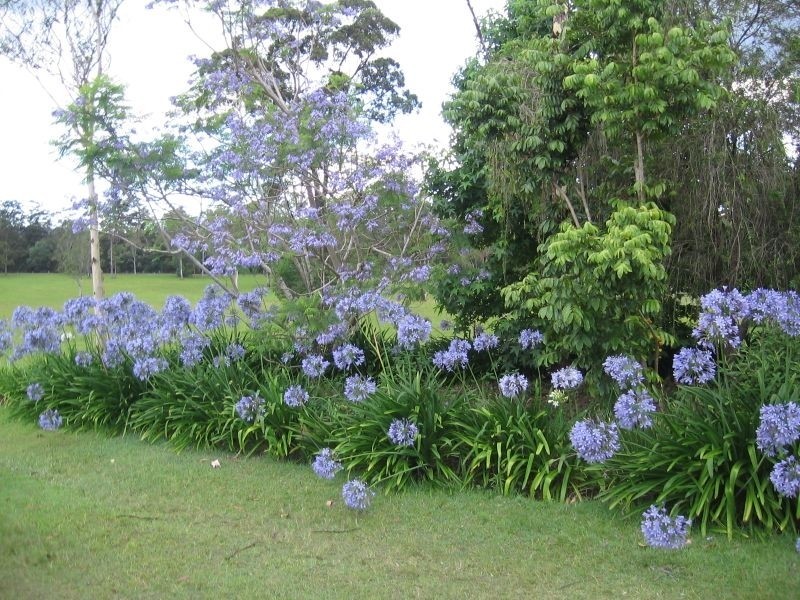 65 Whites Road, New Italy NSW 2472