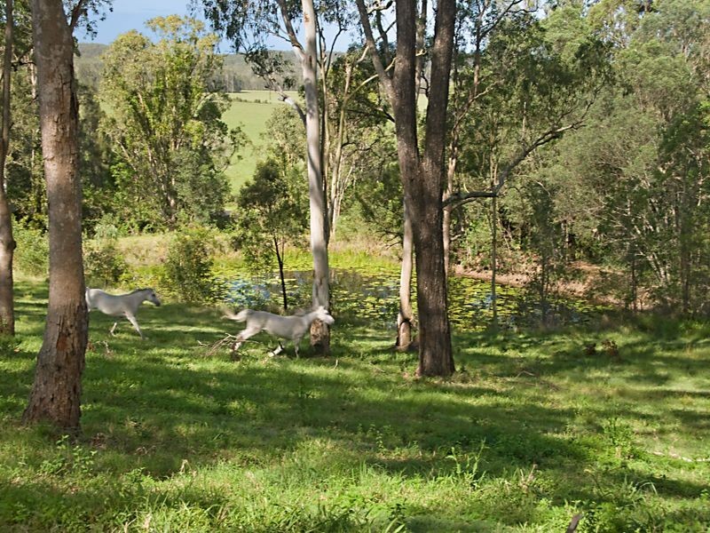 260_ The Gap Road, Woodburn NSW 2472