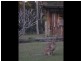 Lot 74_ Mahogony Road, New Italy NSW 2472